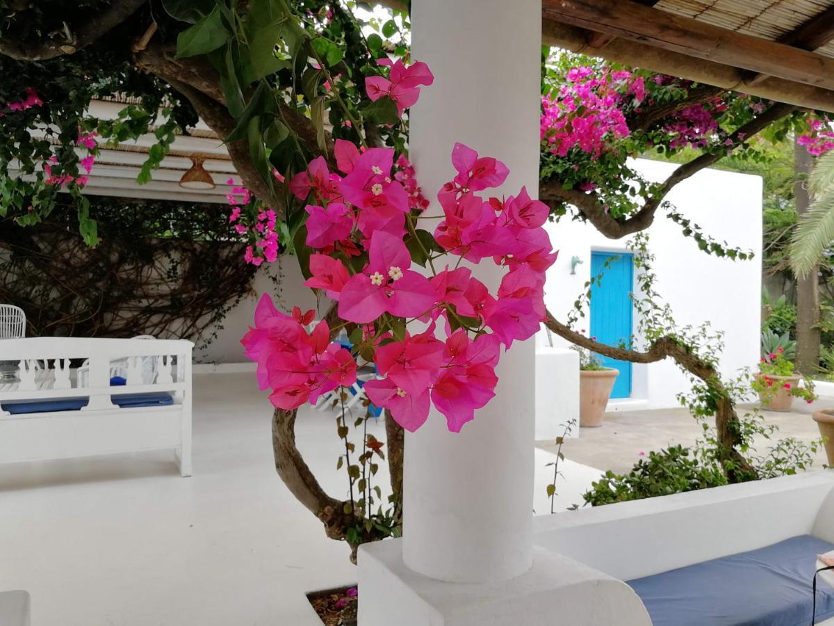 Casa Carlotta Bed & Breakfast Stromboli Exterior photo
