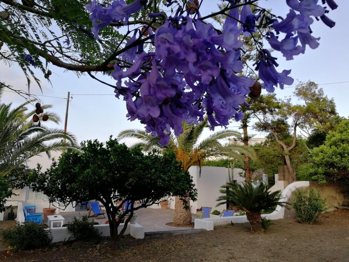Casa Carlotta Bed & Breakfast Stromboli Exterior photo